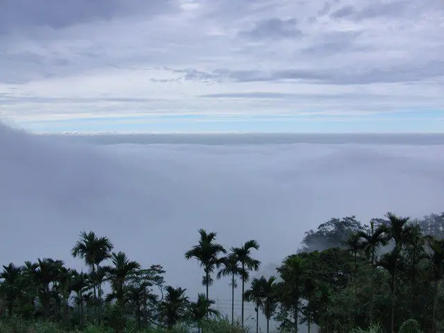 山海觀珈啡莊園