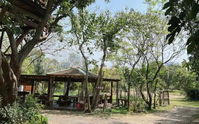 森園寵物友善樹屋咖啡莊園(圖片來自新竹縣政府)