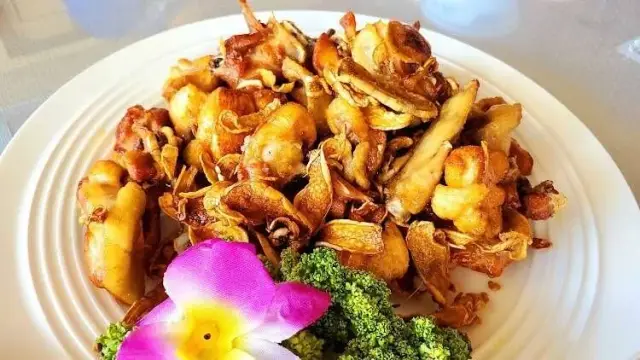 樂鳴食堂(圖片來自高雄市政府)