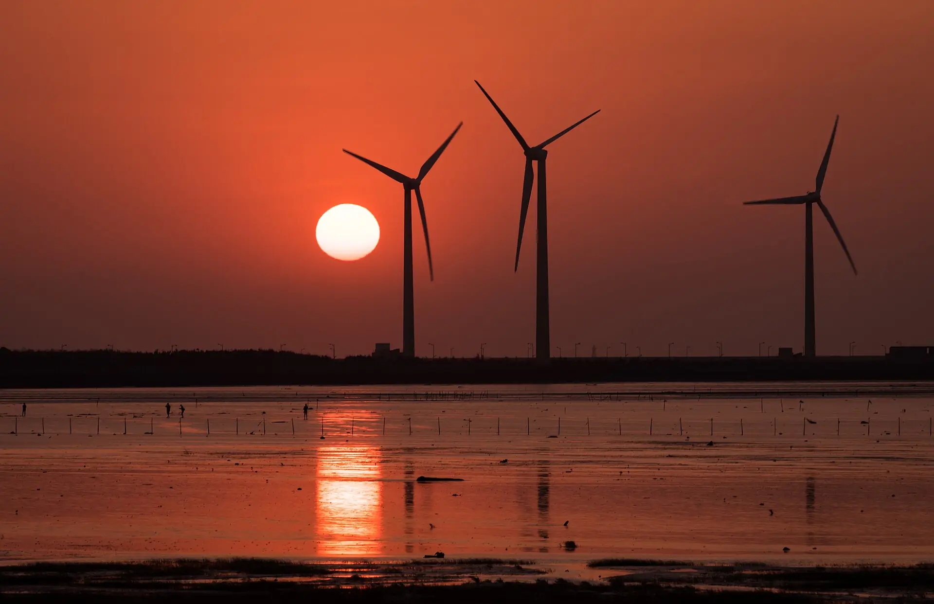高美濕地的夕陽與一排風車剪影