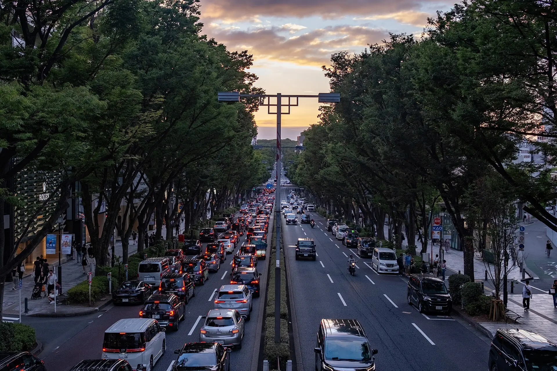 夕陽下的表參道,兩旁是櫸樹與車流