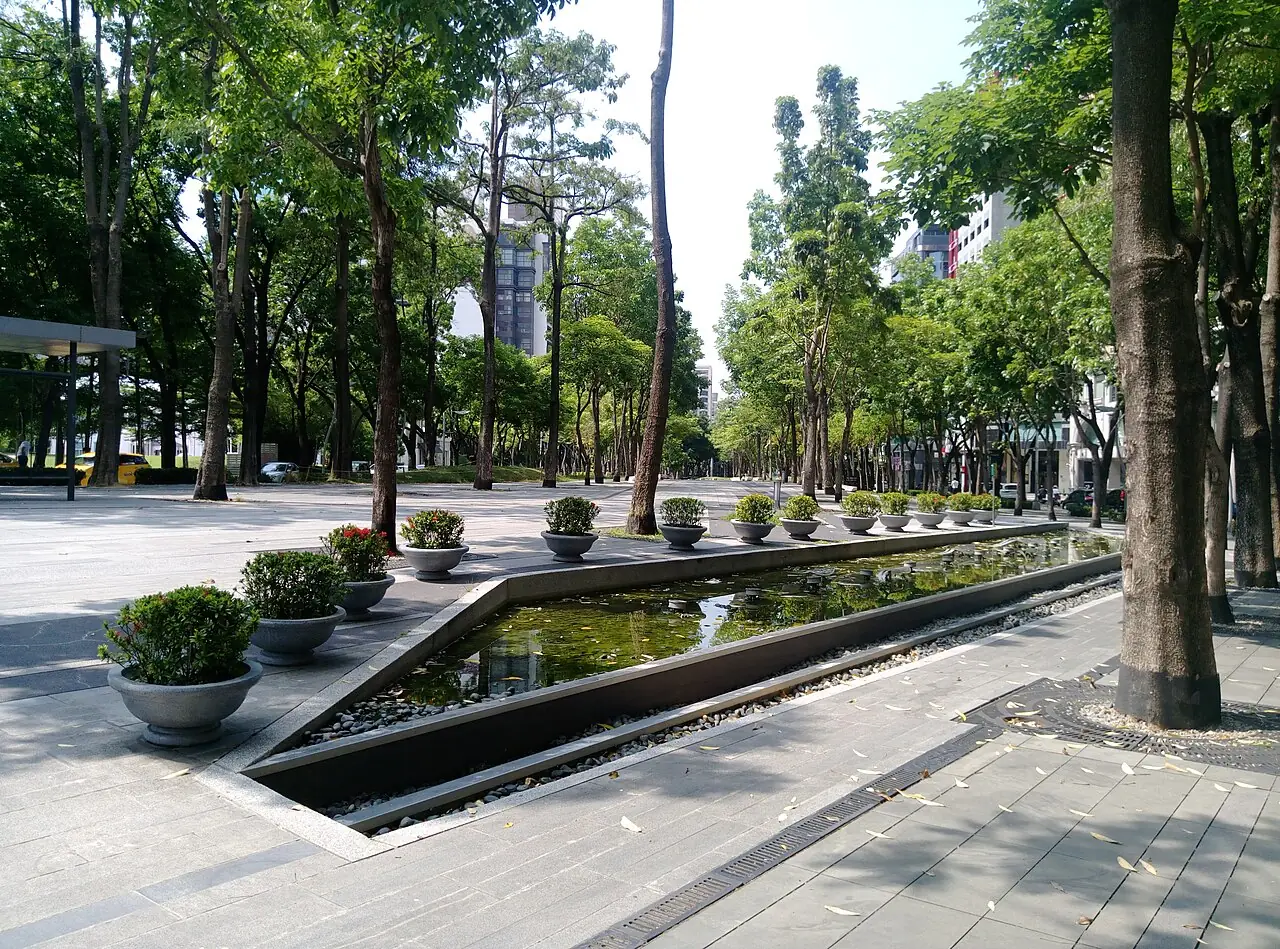 草悟道林蔭下的步道