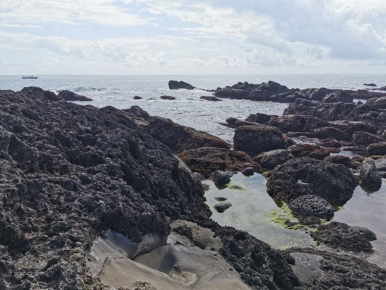 小野柳海岸的砂岩與潮間帶