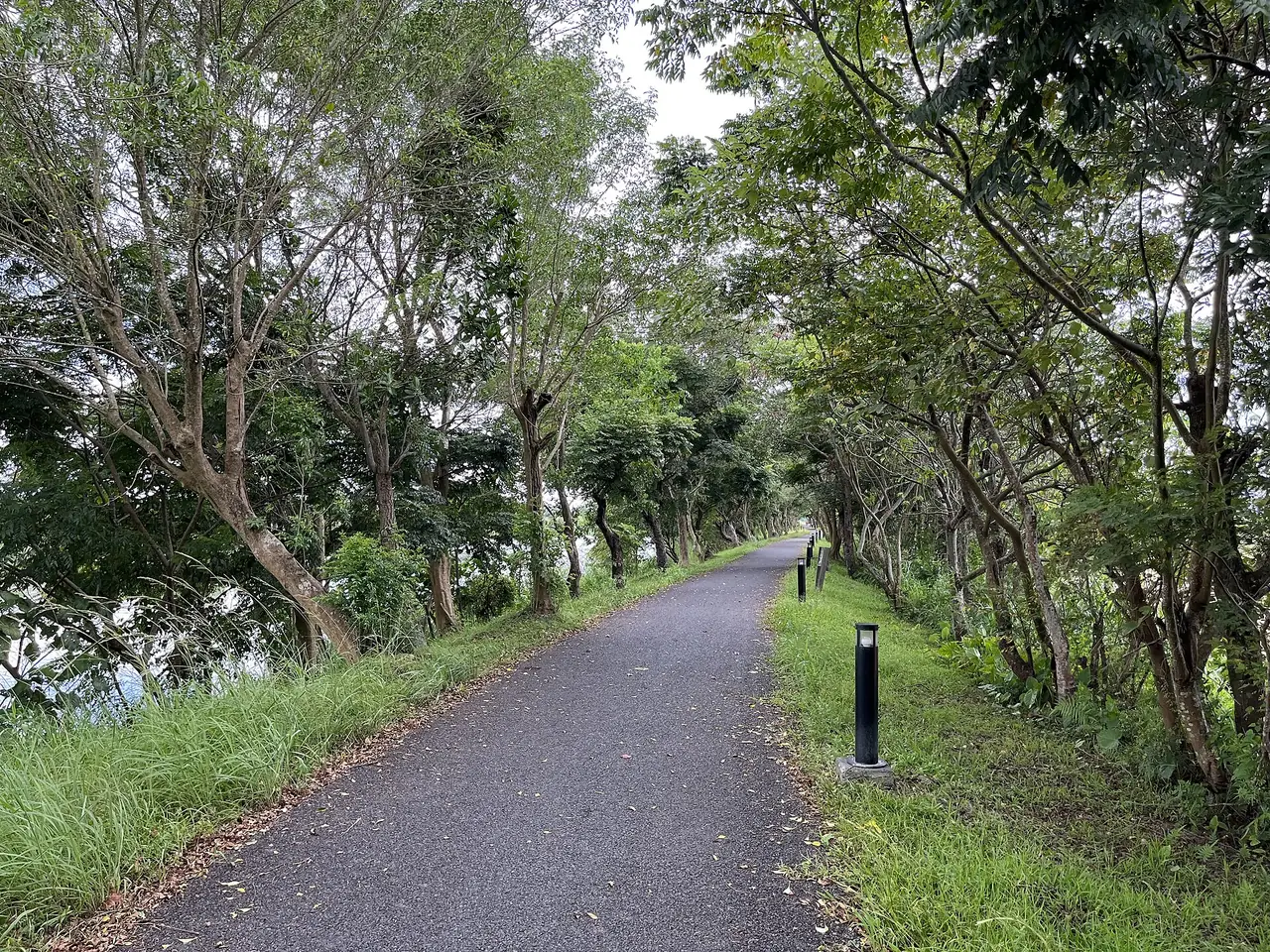 冬山河畔林蔭下的自行車道