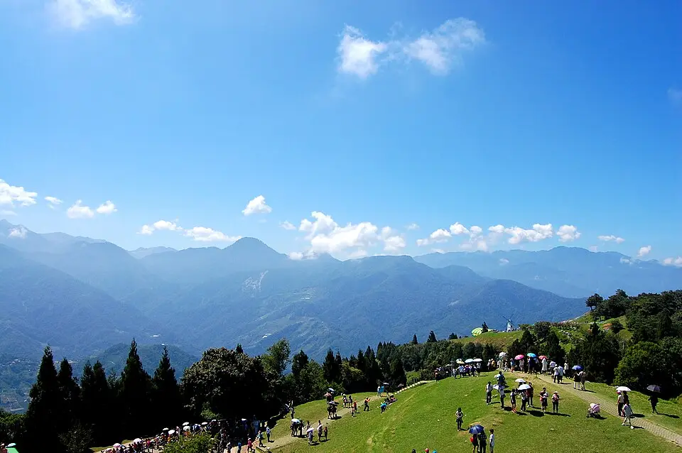 清境農場青青草原的綠色山坡