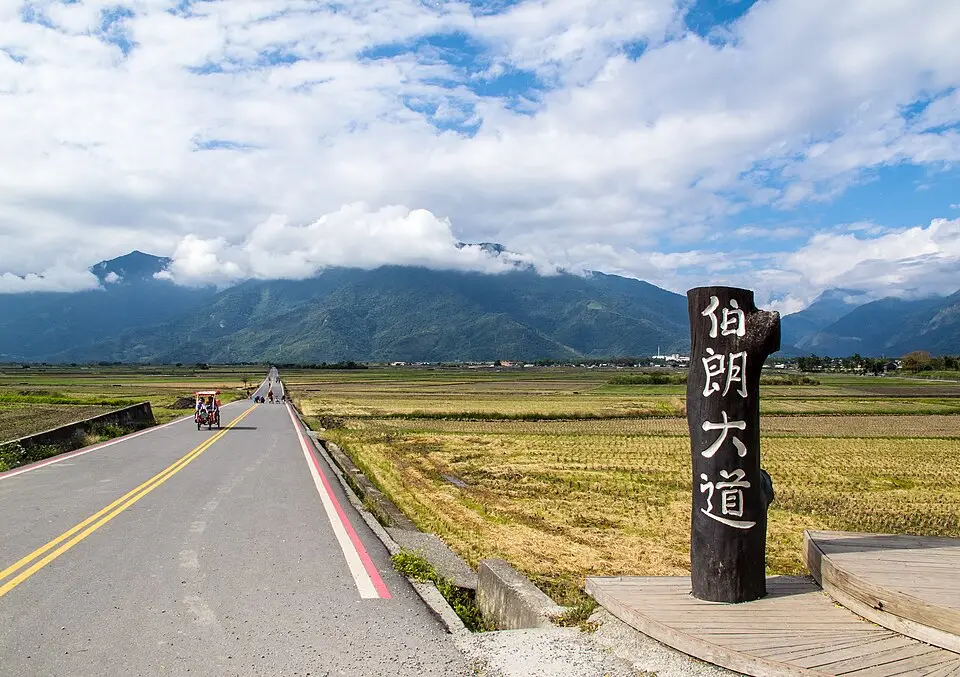池上伯朗大道筆直穿過稻田